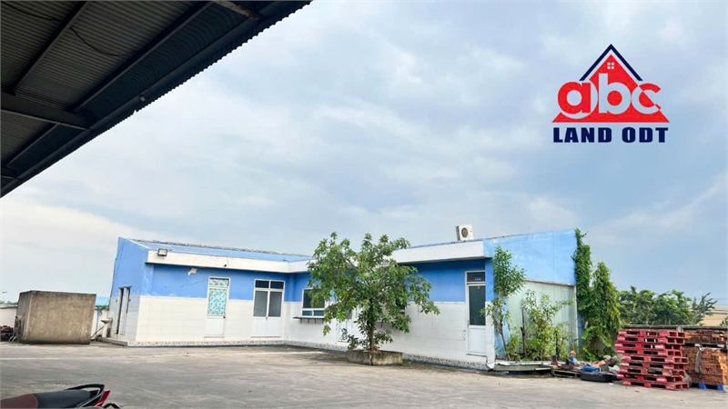 XT225 nhà xưởng thiết kế khung thép, cho thuê ổn định lâu dài. xường trống giao xưởng liền - Ảnh chính