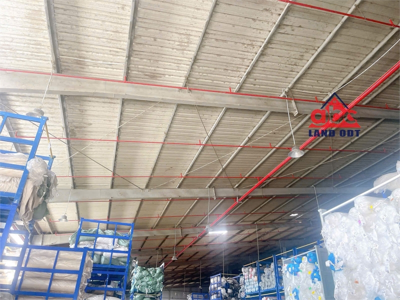 XT224 xưởng sản xuất phục vụ nhiều ngành nghề. khuôn viên dùng chung. có bể XLNT - Ảnh 2