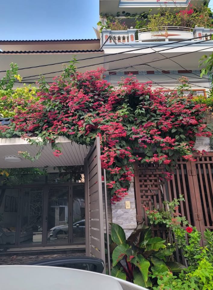 Ban gấp nhà gần chợ Bình Chánh 980tr - Ảnh chính