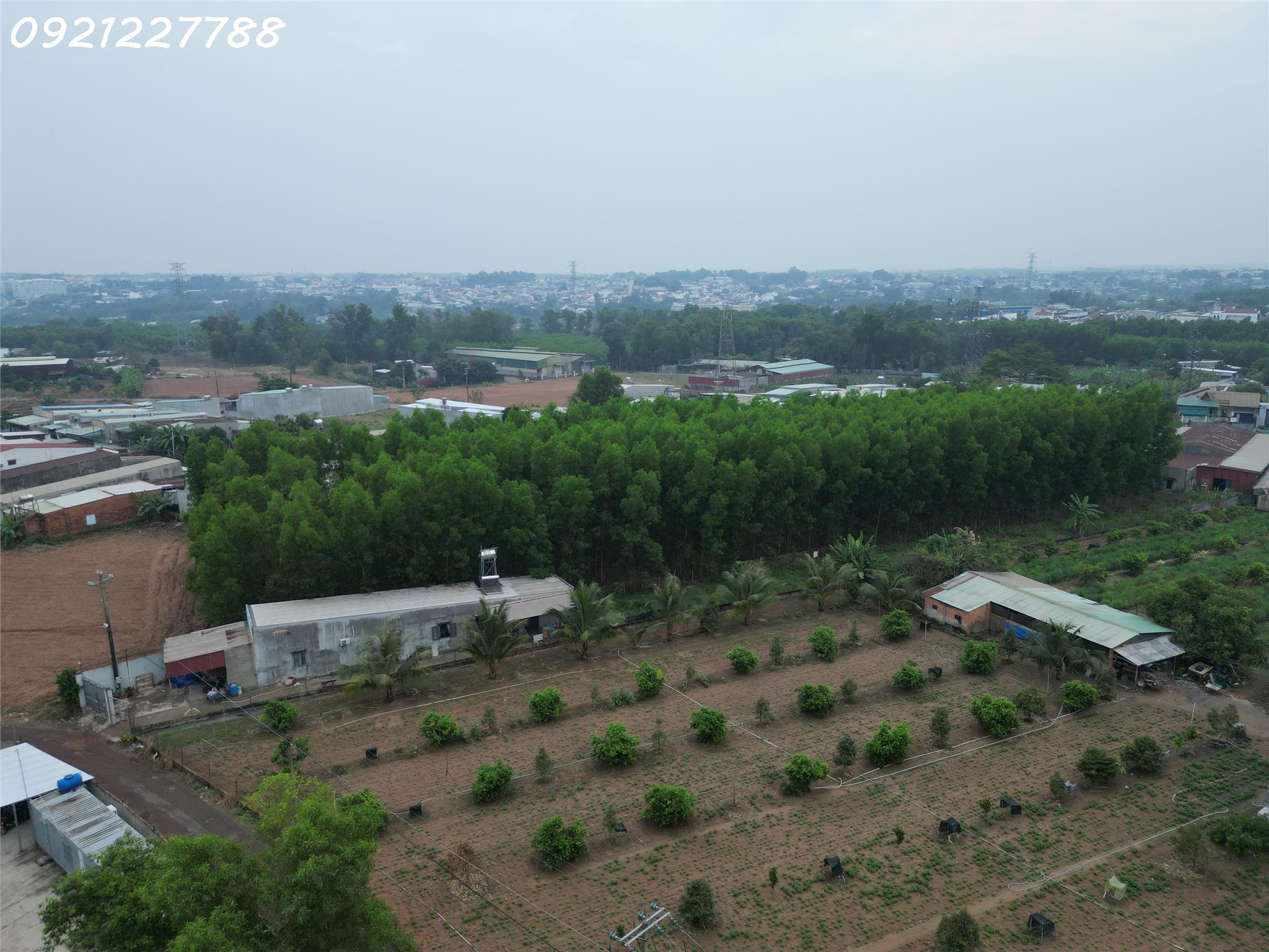 Bán 1000 m²  xã Bình Minh gần ngay QL1A đường nhựa lớn dân cư đông đúc giá chỉ  hơn 2 tỷ - Ảnh 2