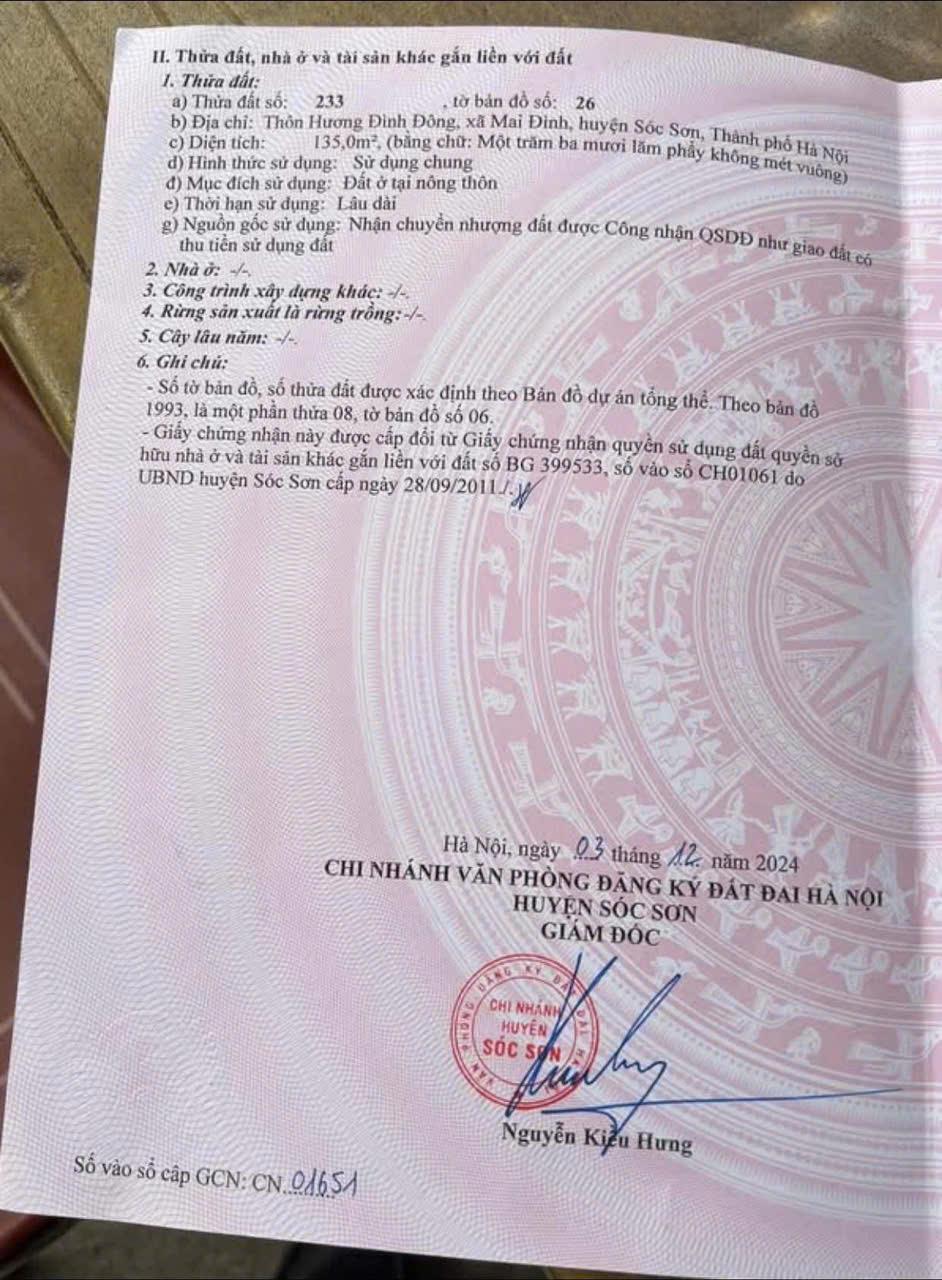 Đất đẹp- giá tốt chính chủ cần bán nhanh lô đất vị trí đắc địa tại huyện Sóc Sơn, TP Hà Nội - Ảnh chính