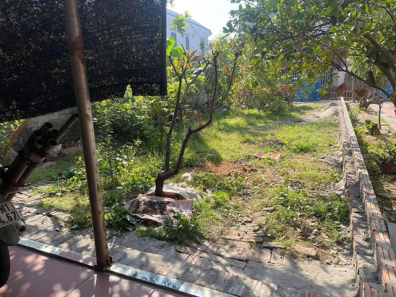 Đất đẹp- giá tốt chính chủ cần bán nhanh lô đất vị trí đắc địa tại huyện Sóc Sơn, TP Hà Nội - Ảnh 2