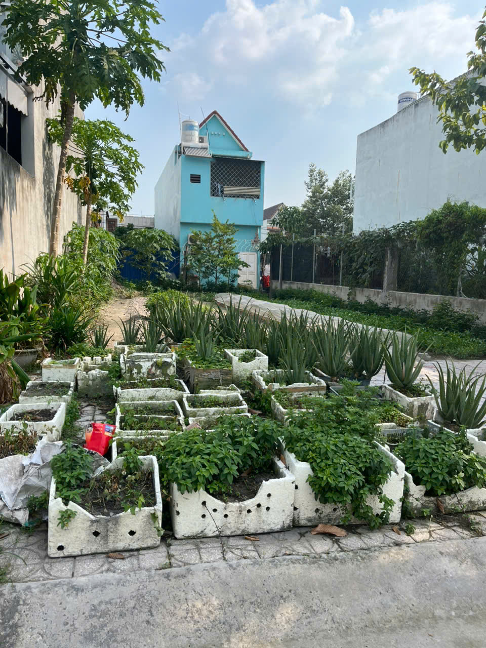 CHÍNH CHỦ CẦN BÁN ĐẤT  tái định cư Tân biên gần nhà thờ Hà Phát-Phường Tân Biên- Thành phố Biên Hòa - Ảnh chính