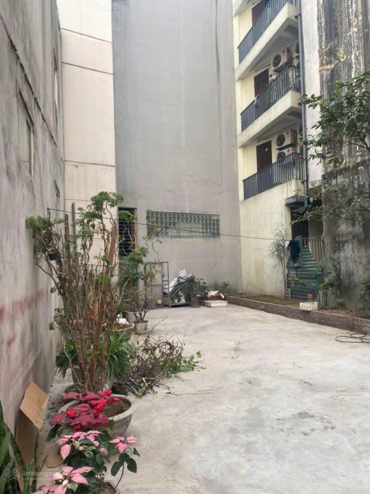 CẦN BÁN ĐẤT địa chỉ số 56 ngõ 39 Đình Thôn, Phường Mỹ Đình 1, Nam Từ Liêm, Hà Nội. - Ảnh chính