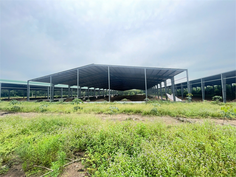 chuyển nhượng nhà xưởng đang hoàn thiện, hạ tầng khung thép kiên cố, đơn giá hợp lý - Ảnh 2
