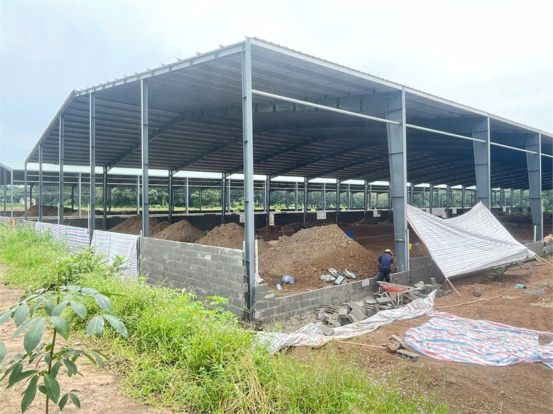 chuyển nhượng nhà xưởng đang hoàn thiện, hạ tầng khung thép kiên cố, đơn giá hợp lý - Ảnh 4