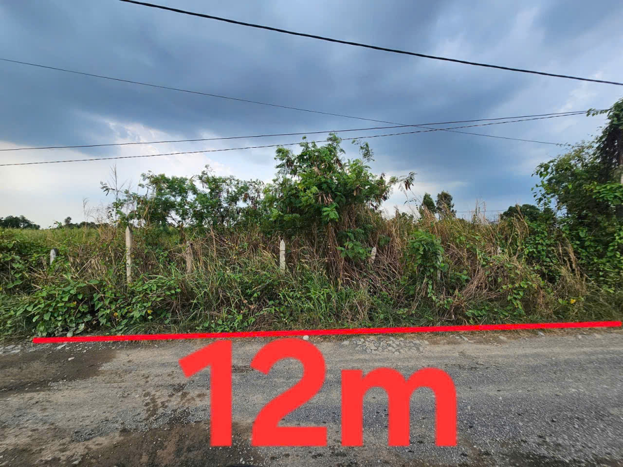 🔥🔥CHỦ GẤP GIẢM SÂU 1 tỷ -💰GIÁ MỚI 11 tỷ LÔ ĐẤT NỀN 850M2 ( 12/14x67)- NGANG 12M - TIỆN XÂY BIỆT - Ảnh 3