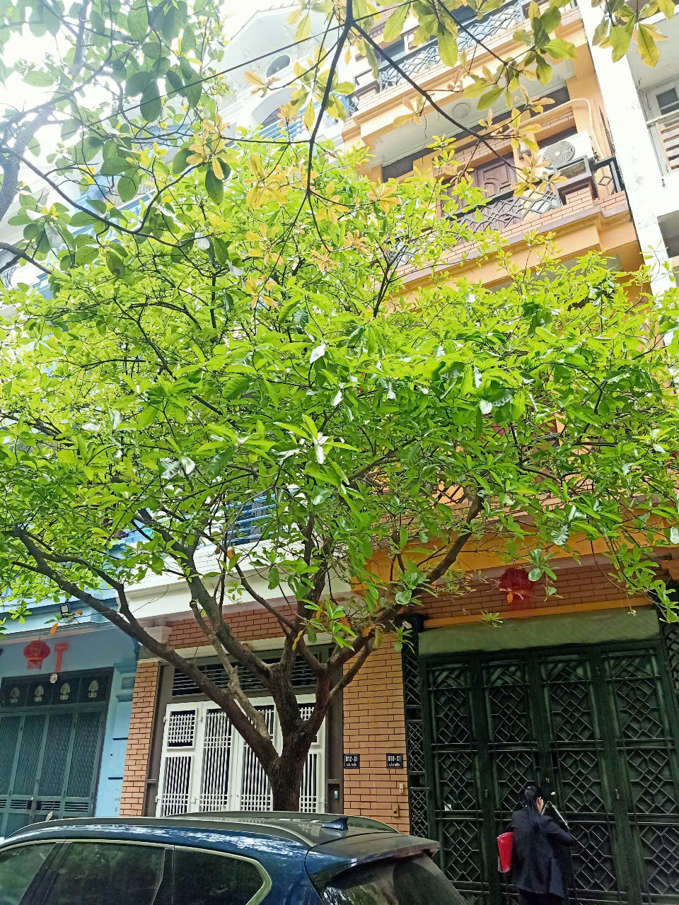 Bán nhà phân lô LK Mỹ Đình 60m2 5 tầng thang máy giá chỉ nhỉnh 18 tỷ - Ảnh 1