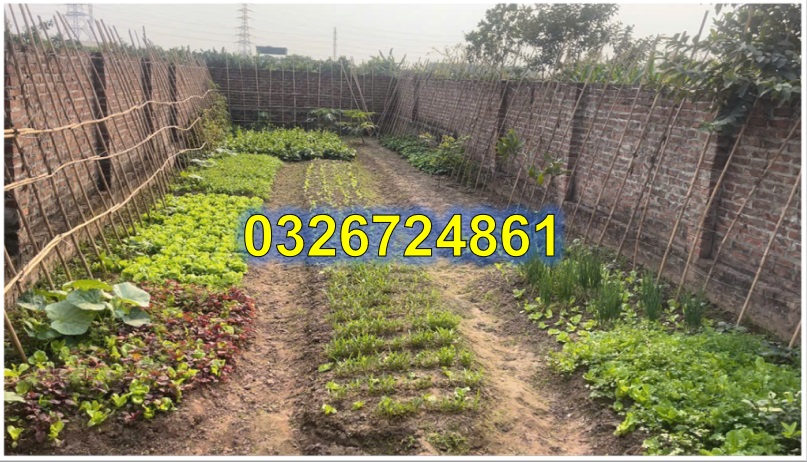 ⭐️Cần bán nhanh lô đất đẹp tại Vân Côn, Hoài Đức, TP.Hà Nội, 9,5tr/m2; 0326724861 - Ảnh chính