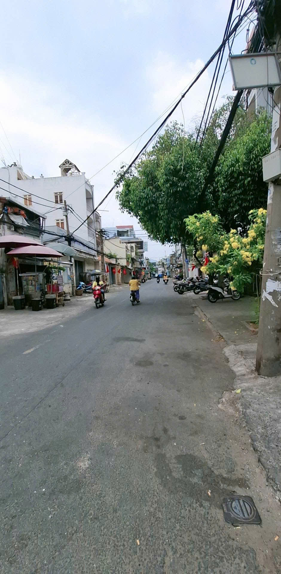 Bán nhà Biệt Thự - 2 Mặt tiền Lê Thị Bạch Cát - Tôn Thất Hiệp, 8x21m, 3 Tầng, 35.5 tỷ - Ảnh chính