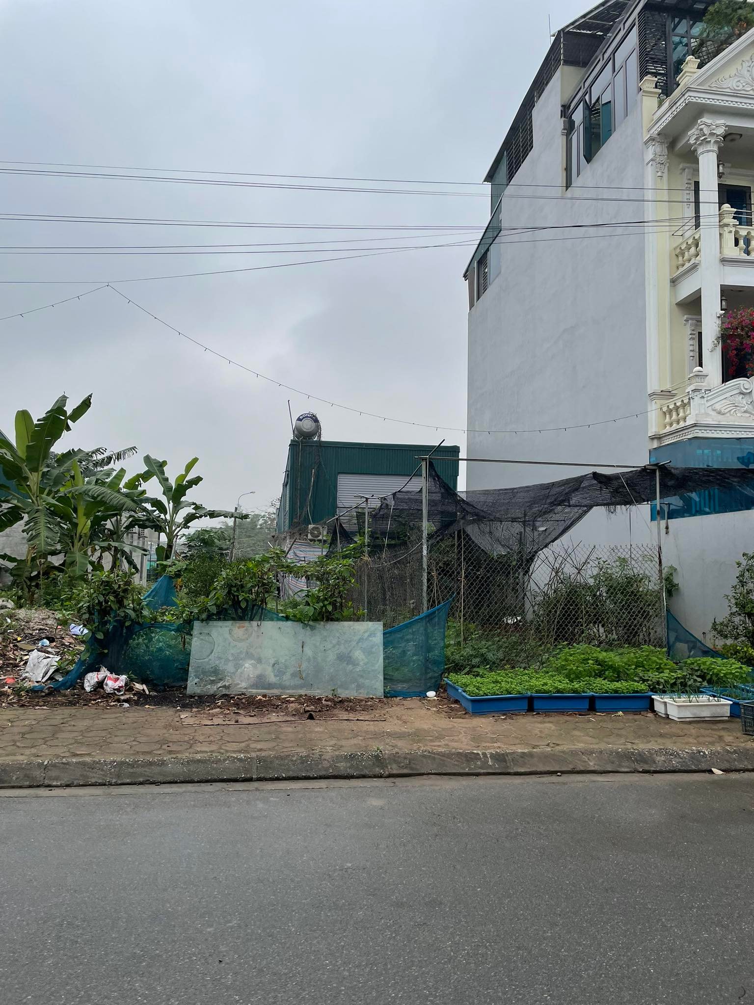 Bán đất biệt thự,liền kề khu đấu giá 31ha Trâu Quỳ, Gia Lâm, 140m2 đường 15,giá tốt - Ảnh chính