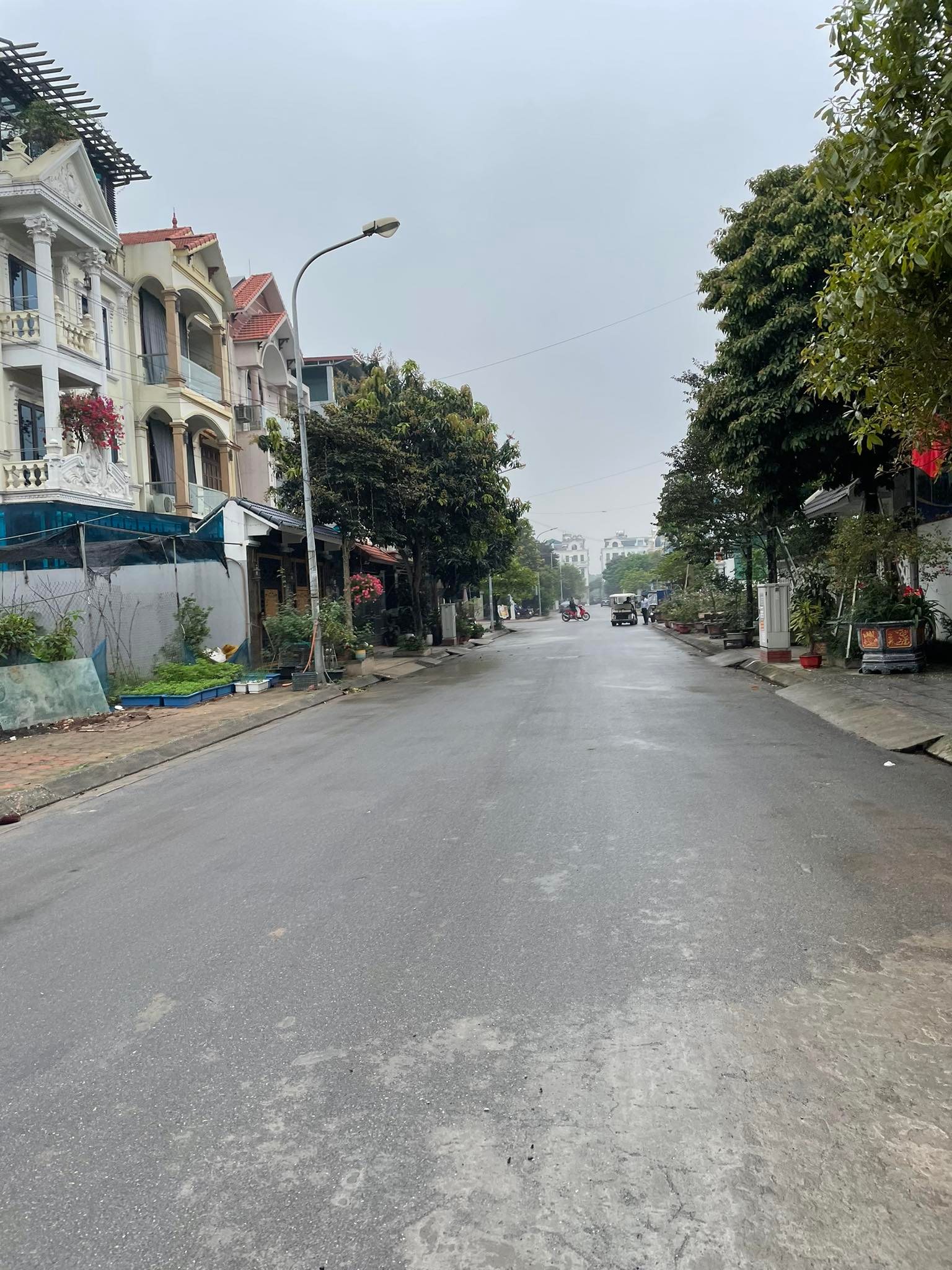 Bán đất biệt thự,liền kề khu đấu giá 31ha Trâu Quỳ, Gia Lâm, 140m2 đường 15,giá tốt - Ảnh 2