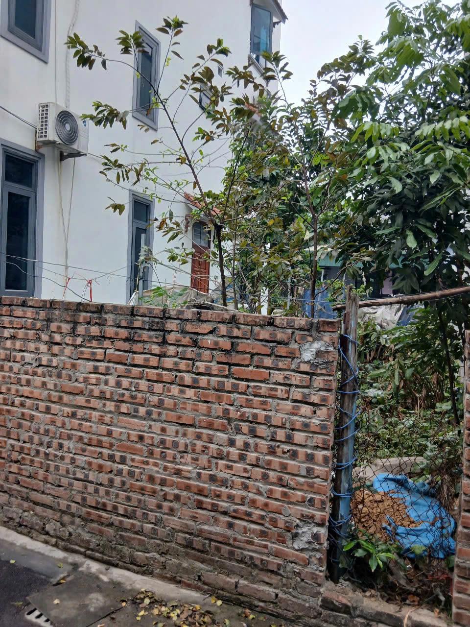 ĐẤT ĐẸP- GIÁ TỐT CHINH CHỦ Cần Bán Nhanh Lô Đất Thổ Cư 2 Mặt Thoáng Tại Thôn Đài Bi, Uy Nỗ, Đông Anh - Ảnh 3