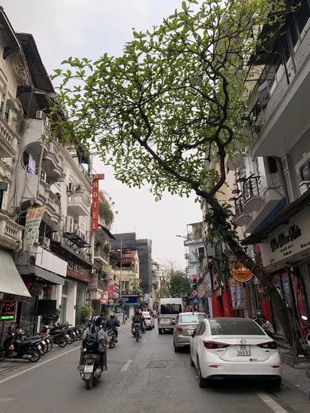 🏢 Bán nhà mặt phố cổ Đông Thái – 119m², mặt tiền 5.2m – Giá chỉ 58 tỷ! 0986073333🔥 - Ảnh chính