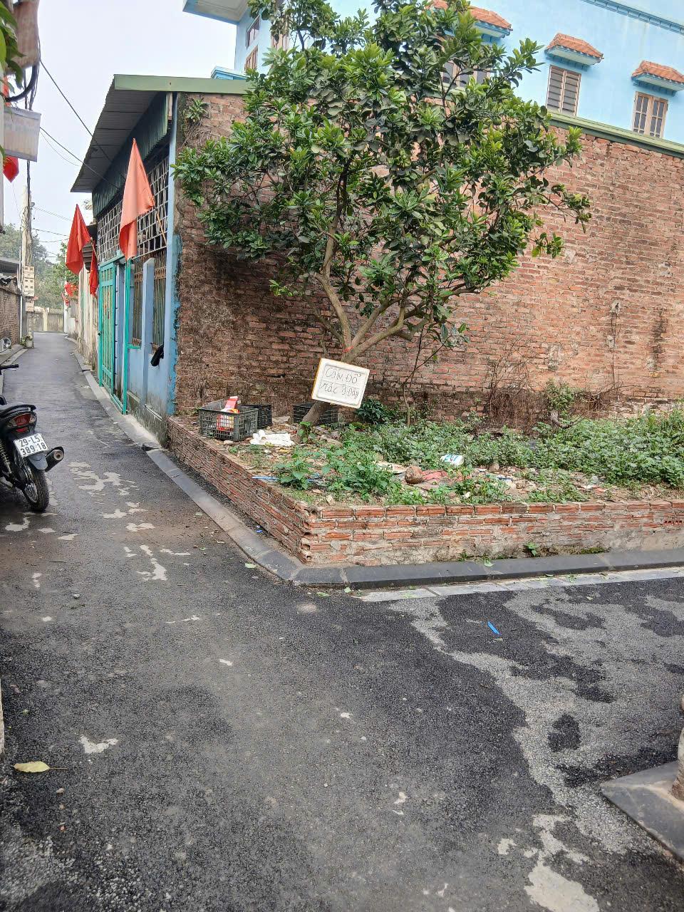 ĐẤT ĐẸP- GIÁ TỐT CHINH CHỦ Cần Bán Nhanh Lô 2 Mặt Thoáng Vạn Lộc, Xuân Canh, Đông Anh, Hà Nội - Ảnh chính