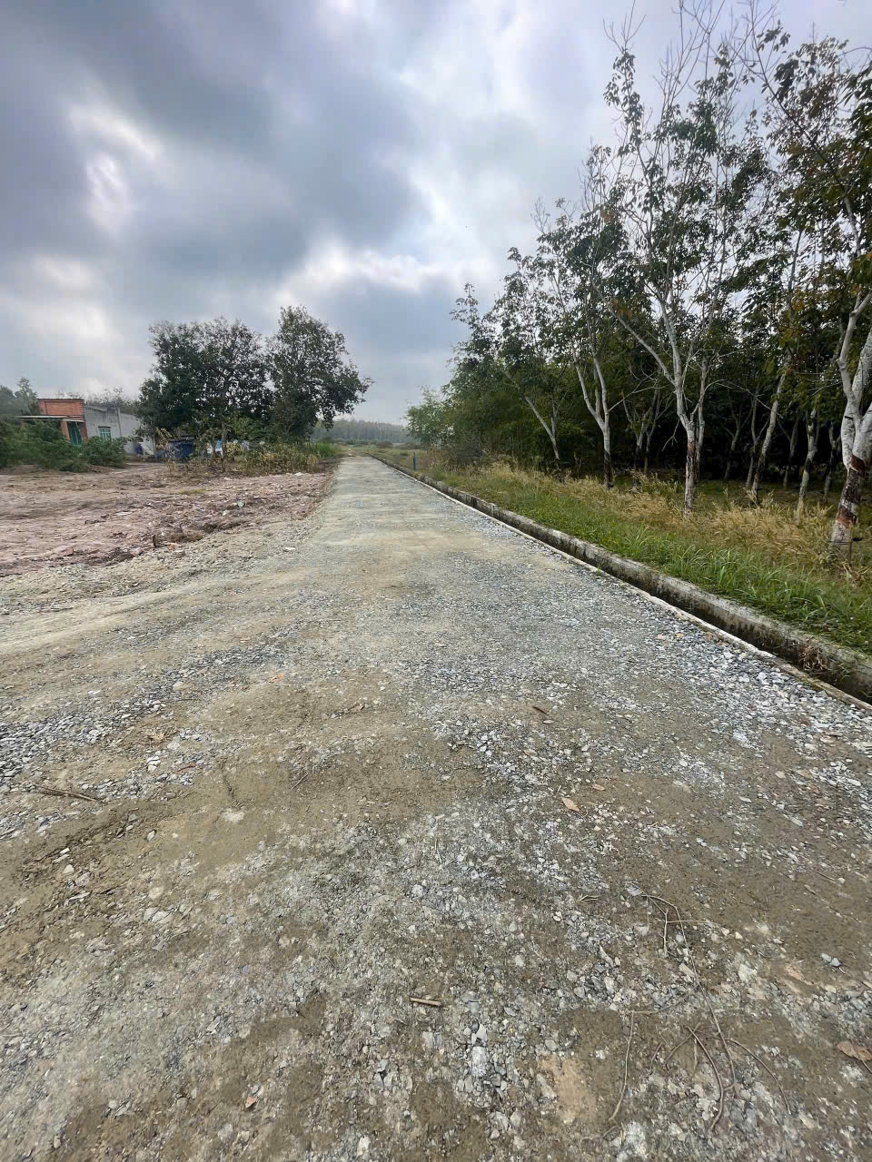 Chính chủ cần bán: Lộc Ninh - Dương Minh Châu - Tây Ninh - Ảnh 1