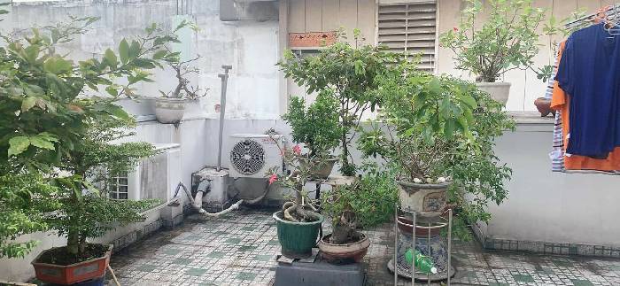 Trung Tâm Phú Nhuận, Full Nội Thất, Hẻm 1/, 4 PN, Sẵn Dòng Tiền 20 tr/th - Ảnh chính