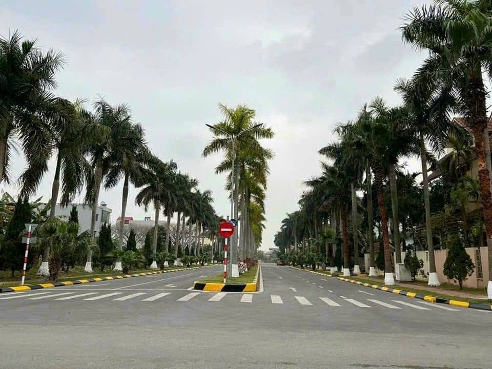 Bán Đất Đại An, Tứ Minh, Hải Dương siêu đẹp giá đầu tư - Ảnh 1