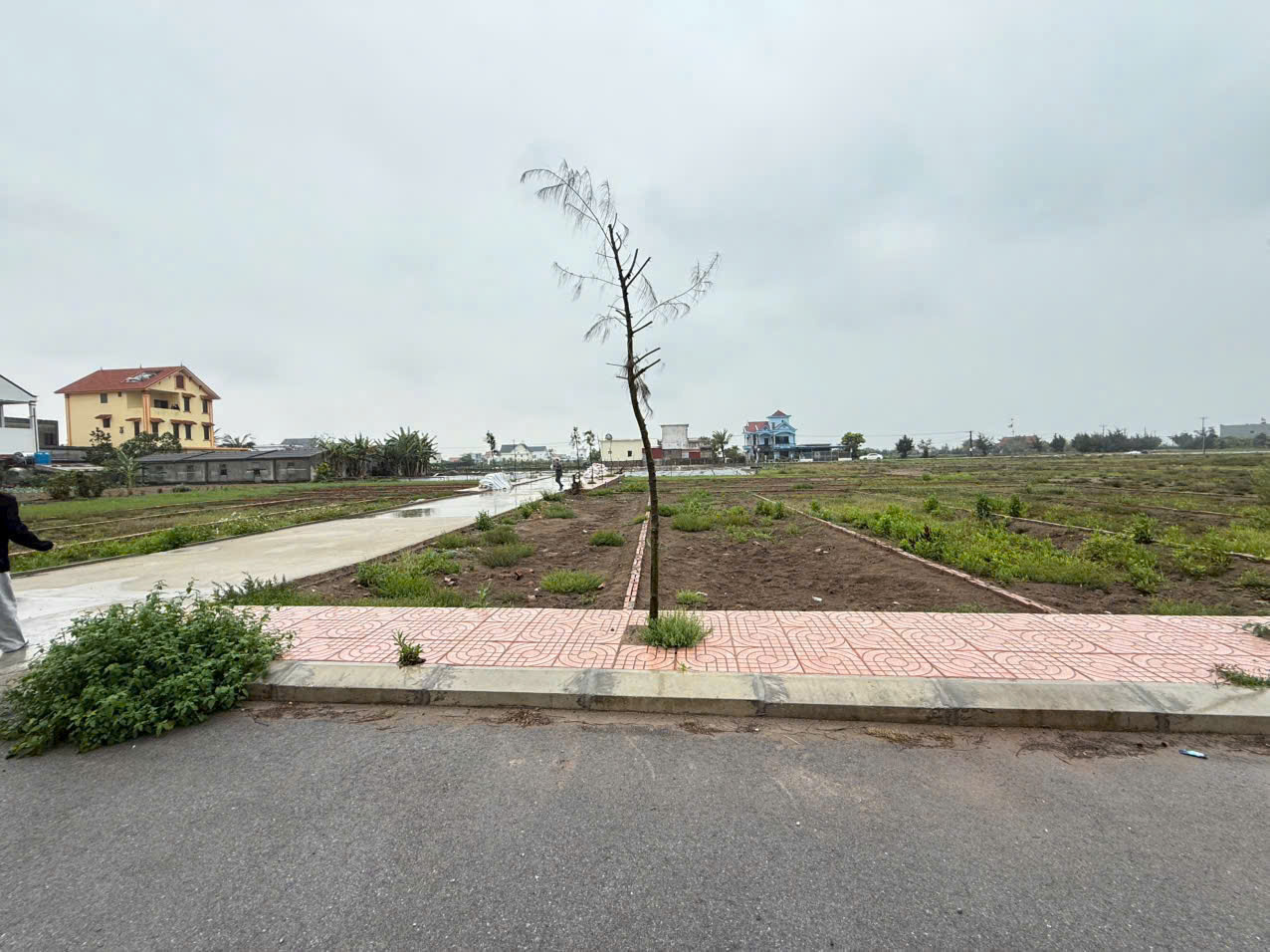 BÁN LÔ ĐẤT CHÍNH CHỦ SÁT BIỂN CHỈ TỪ 1 ĐẾN 2 TỶ - SỔ ĐỎ LÂU DÀI - TỶ SUẤT LỢI NHUẬN CAO - Ảnh 1