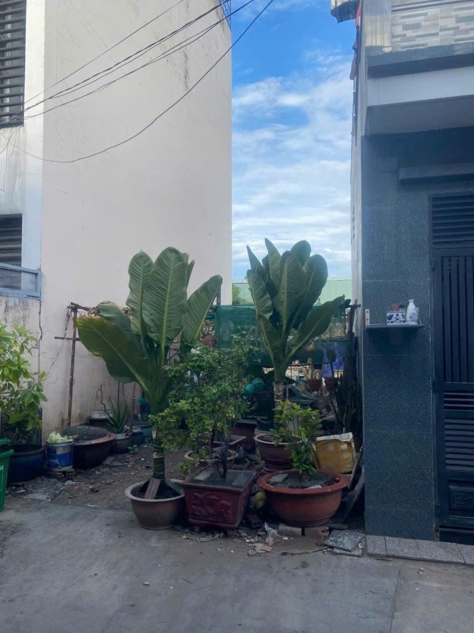 Sót lại lô đất Đ Số 4 Lê Văn Quới ngay ngã tư 4 xã 48m2 khu vự xây 4 Tầng hẻm 6m - 4 tỷ - Ảnh 2