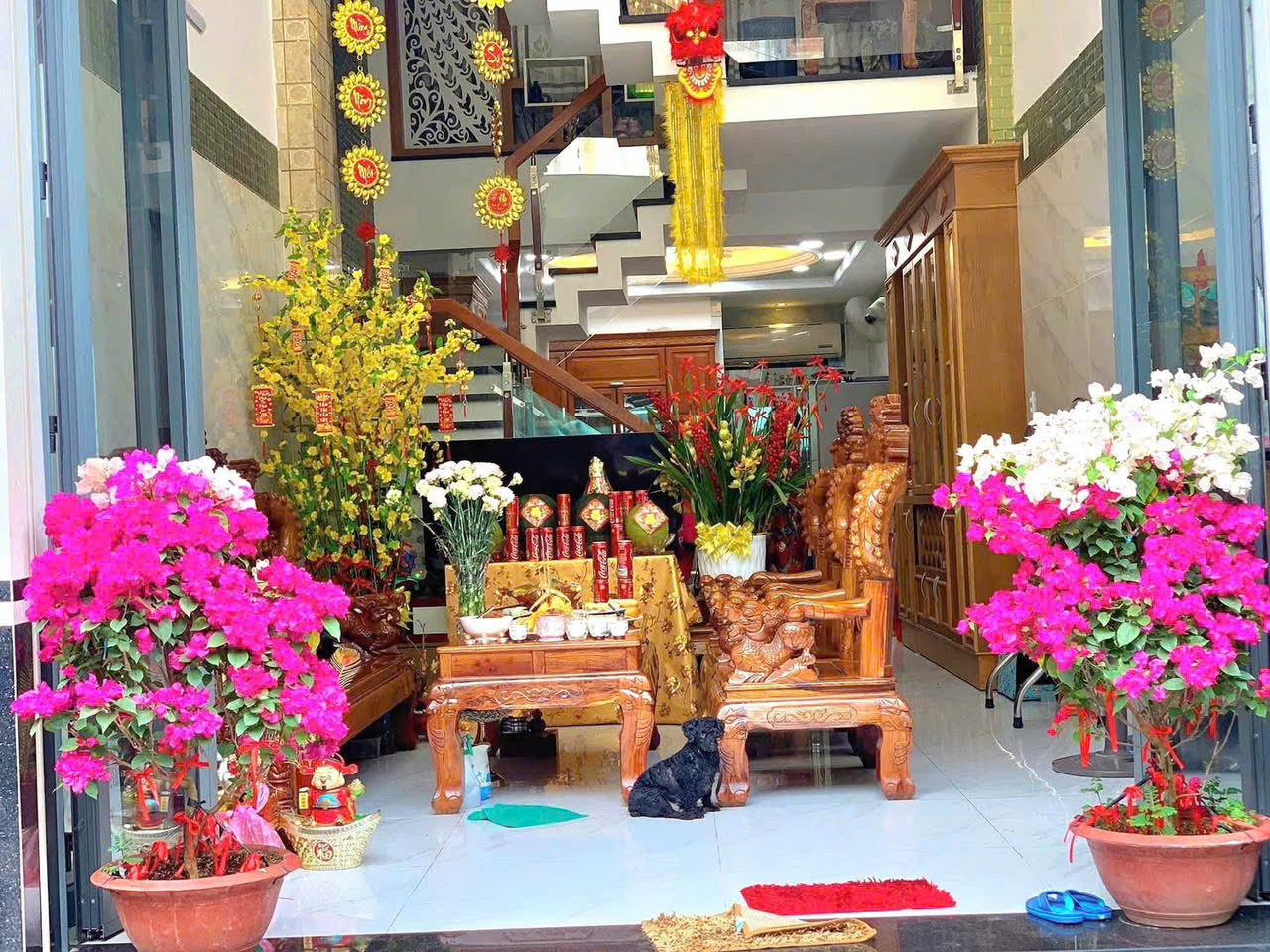 BÁN NHÀ CHÍNH CHỦ - QUANG TRUNG P10 - GÒ VẤP - NHÀ ĐẸP 5 TẦNG - XE HƠI NGỦ NHÀ - ĐỊNH CƯ BÁN 7X TỶ - Ảnh chính