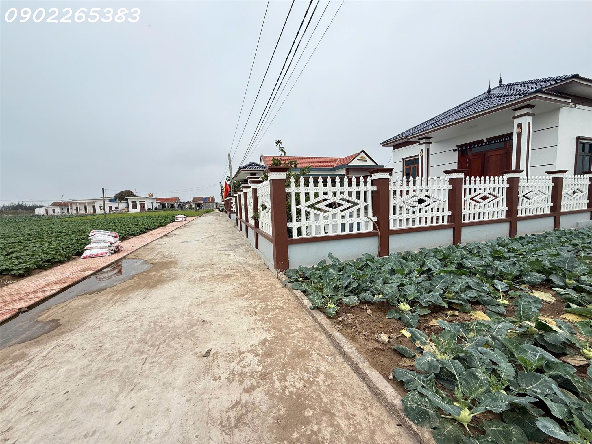 Chính chủ cần bán gấp đất nền 101m2  xã Giao phong giá rẻ siêu hời 800 triệuVNĐ - Ảnh chính