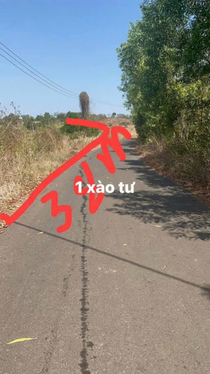 chủ cần bán gấp lô đất 38m  mặt tiền đường nhựa Bình Trung. - Ảnh 1