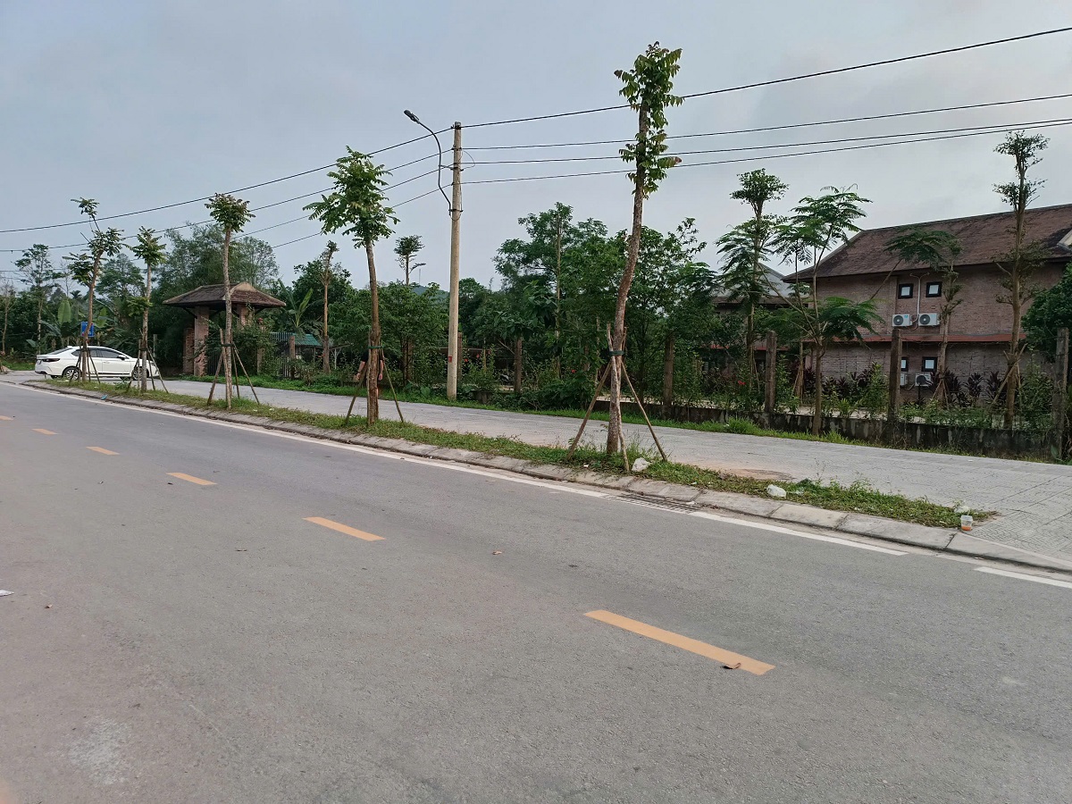 🍁 BÁN ĐẤT BIỆT THỰ 1250m2 GÓC 2 MẶT TIỀN – LƯƠNG QUÁN – THÂN VĂN NHIẾP – THỦY BIỀU, TP HUẾ - Ảnh 2