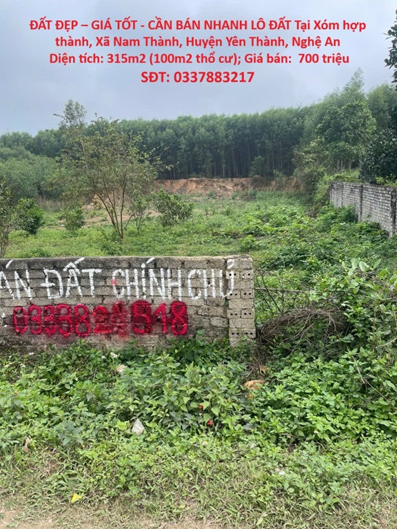 ĐẤT ĐẸP – GIÁ TỐT - CẦN BÁN NHANH LÔ ĐẤT Tại Xóm hợp thành, Xã Nam Thành, Huyện Yên Thành, Nghệ An - Ảnh chính