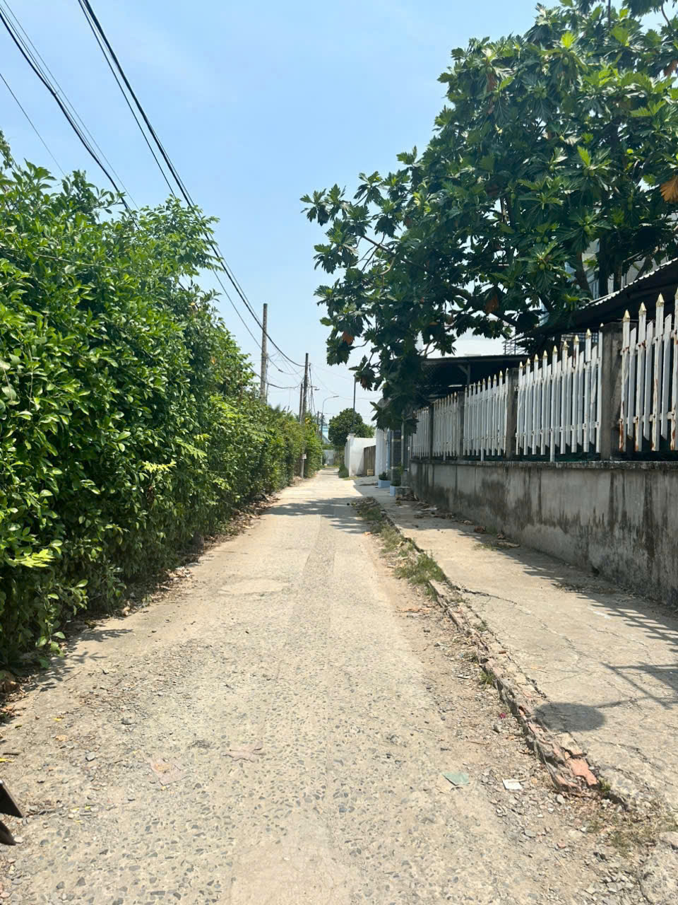 🌹RẺ QUÁ RẺ!HÓC MÔN - ĐƯỜNG 6M THÔNG - NGANG RỘNG HƠN 7M VUÔNG A4 - 133M - 2 TẦNG - MỚI ĐẸP Ở NGAY - Ảnh chính