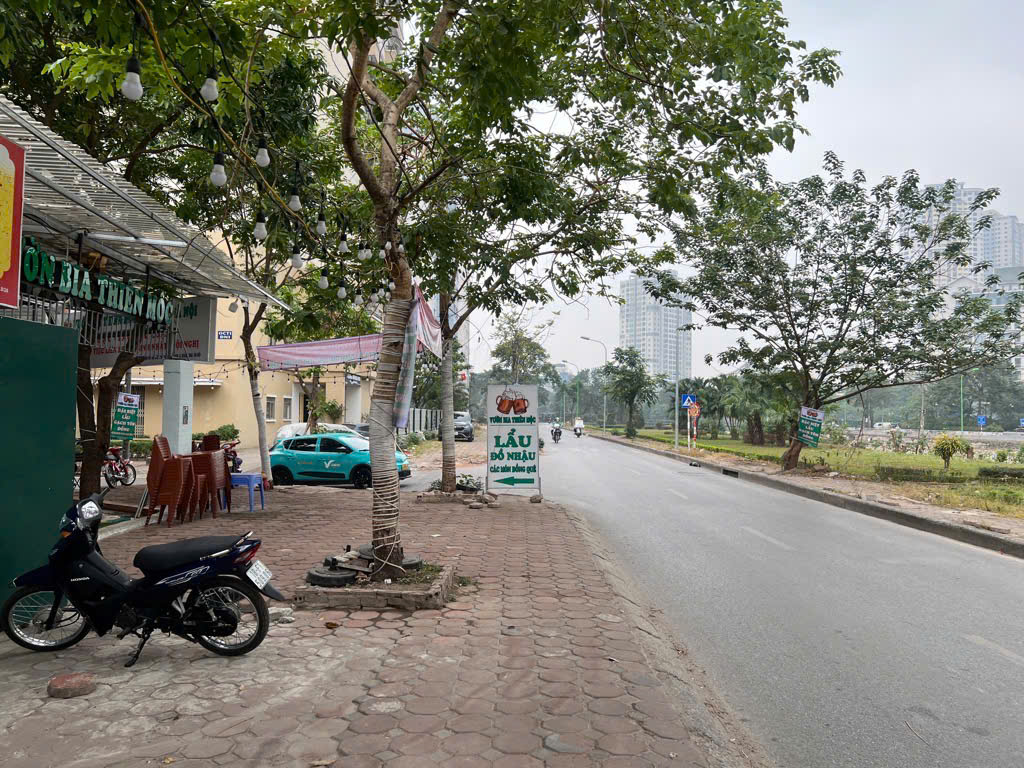 BIỆT THỰ VIEW TRIỆU ĐÔ BẮC LINH ĐÀM - Ảnh 2