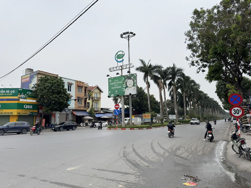 Chính chủ bán đất đẹp 200m2 ngay đầu đường 379 Ecopark - View cầu Thanh Trì - Tiềm năng xưởng/gara - Ảnh 6
