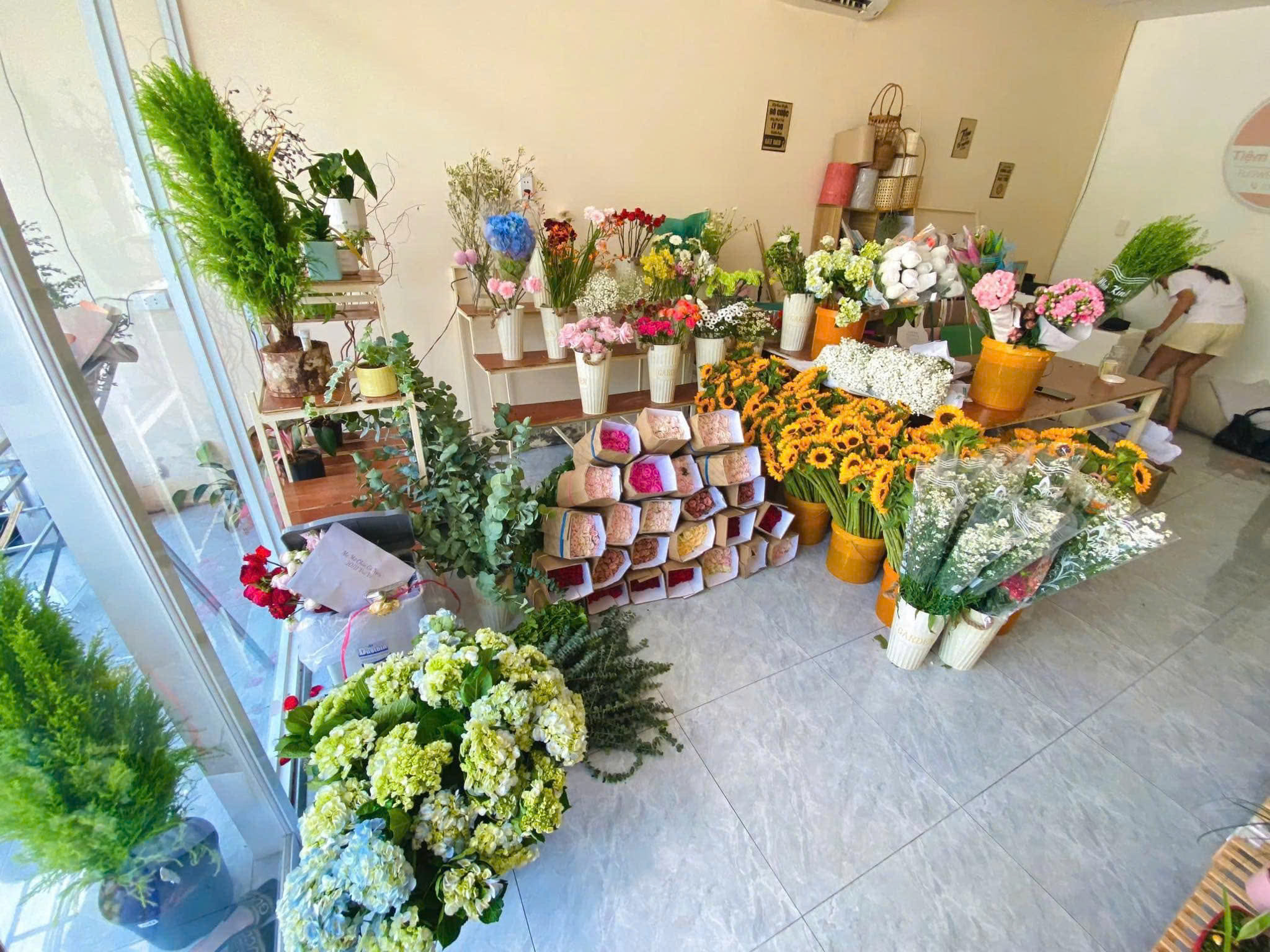 CẦN SANG NHƯỢNG SHOP HOA Địa chỉ: 121 đường Trần Hưng Đạo, Dĩ An - Ảnh 1