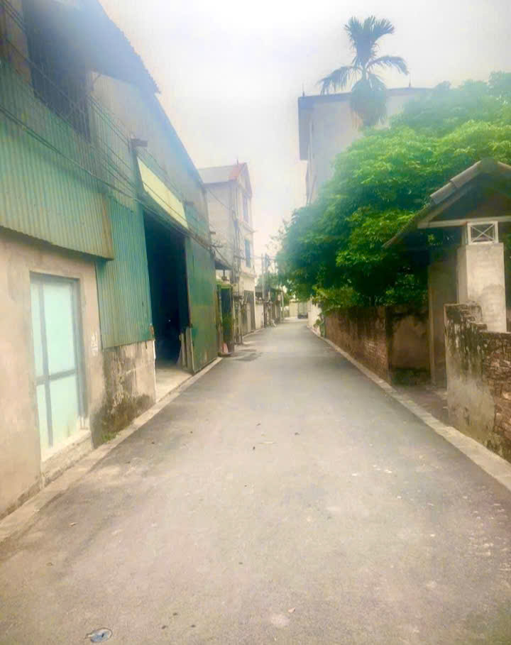 ĐẤT ĐẸP - GIÁ TỐT - Vị Trí Đắc Địa Tại Bắc Hồng, Đông Anh, TPHN - Ảnh 1