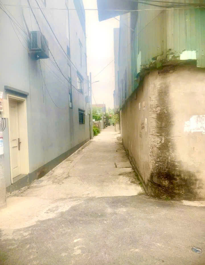 ĐẤT ĐẸP - GIÁ TỐT - Vị Trí Đắc Địa Tại Bắc Hồng, Đông Anh, TPHN - Ảnh 2