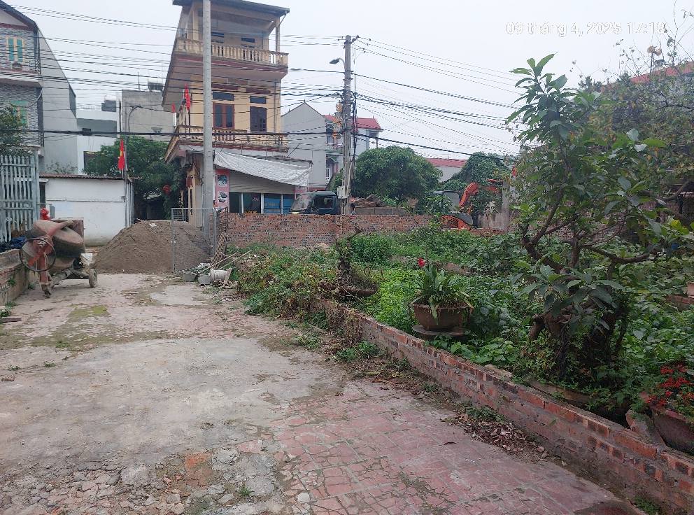 Đất Bắc Hồng, 80m2, mt4.3m. MP, KD, 8 tỷ, Đông Anh, ô tô. - Ảnh 4