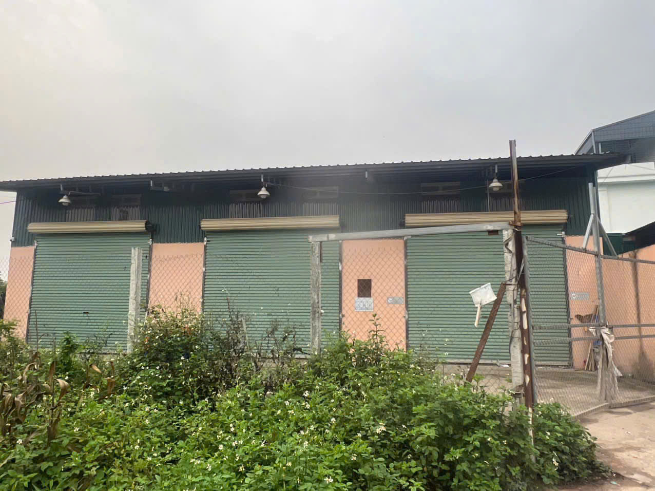 CHÍNH CHỦ BÁN LÔ ĐẤT 300M2 TẠI XÃ TAM HIỆP, HUYỆN PHÚC THỌ, HÀ NỘI-GIÁ SẬP HẦM - Ảnh chính