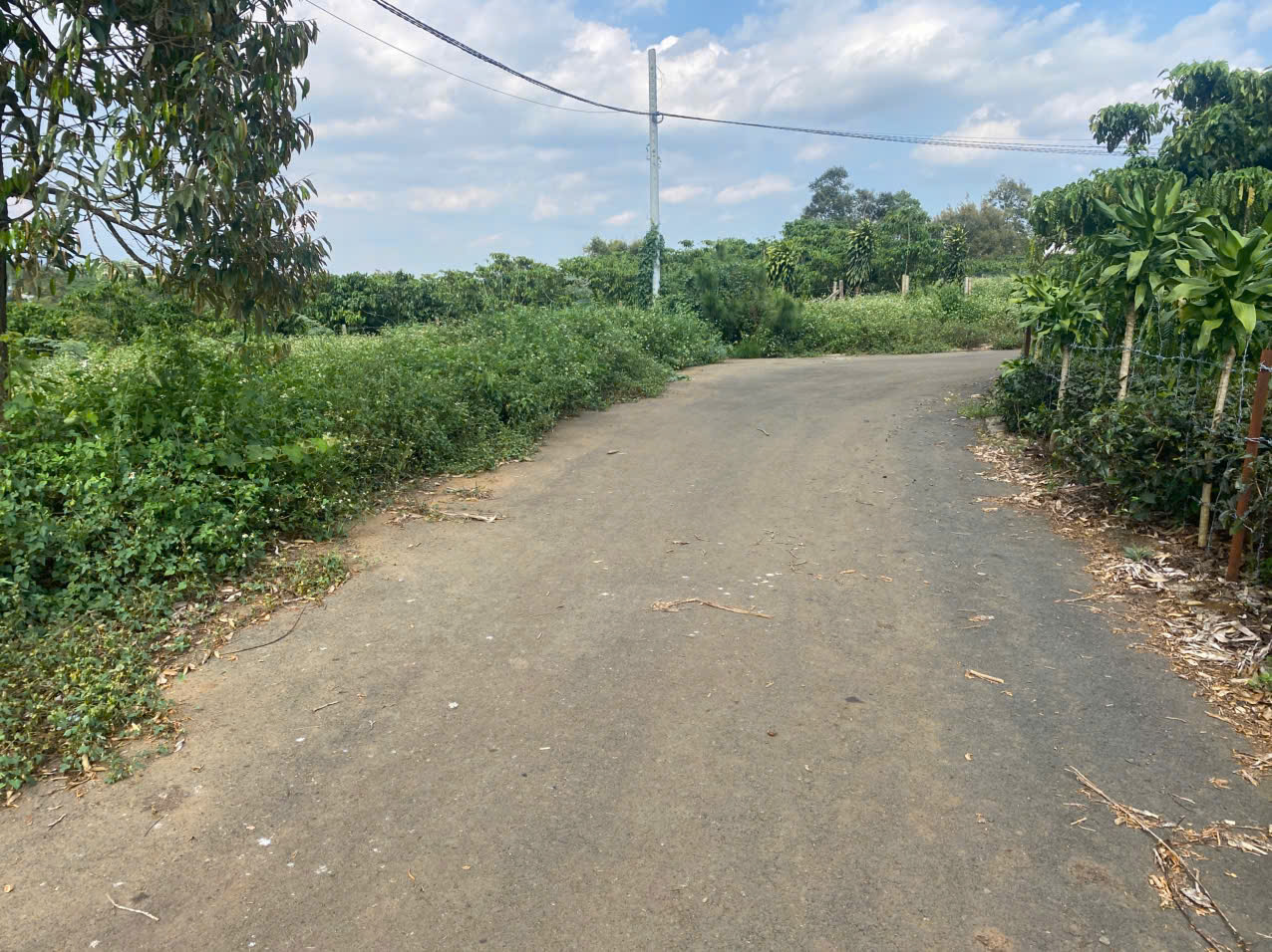 Bán đất xã Lộc An, huyện Bảo Lâm, Lâm Đồng - Hỗ trợ vay ngân hàng 100% - Ảnh chính