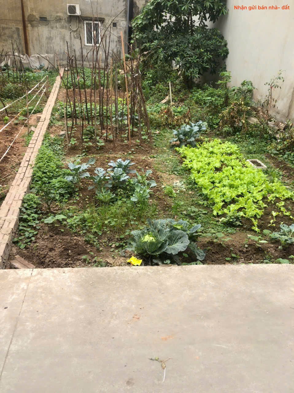 Bán đất tổ 8, TT Quang Minh, Mê Linh. Đất nằm sát siêu thị Mê Minh Plaza, và đường Võ Văn Kiệt - Ảnh 1