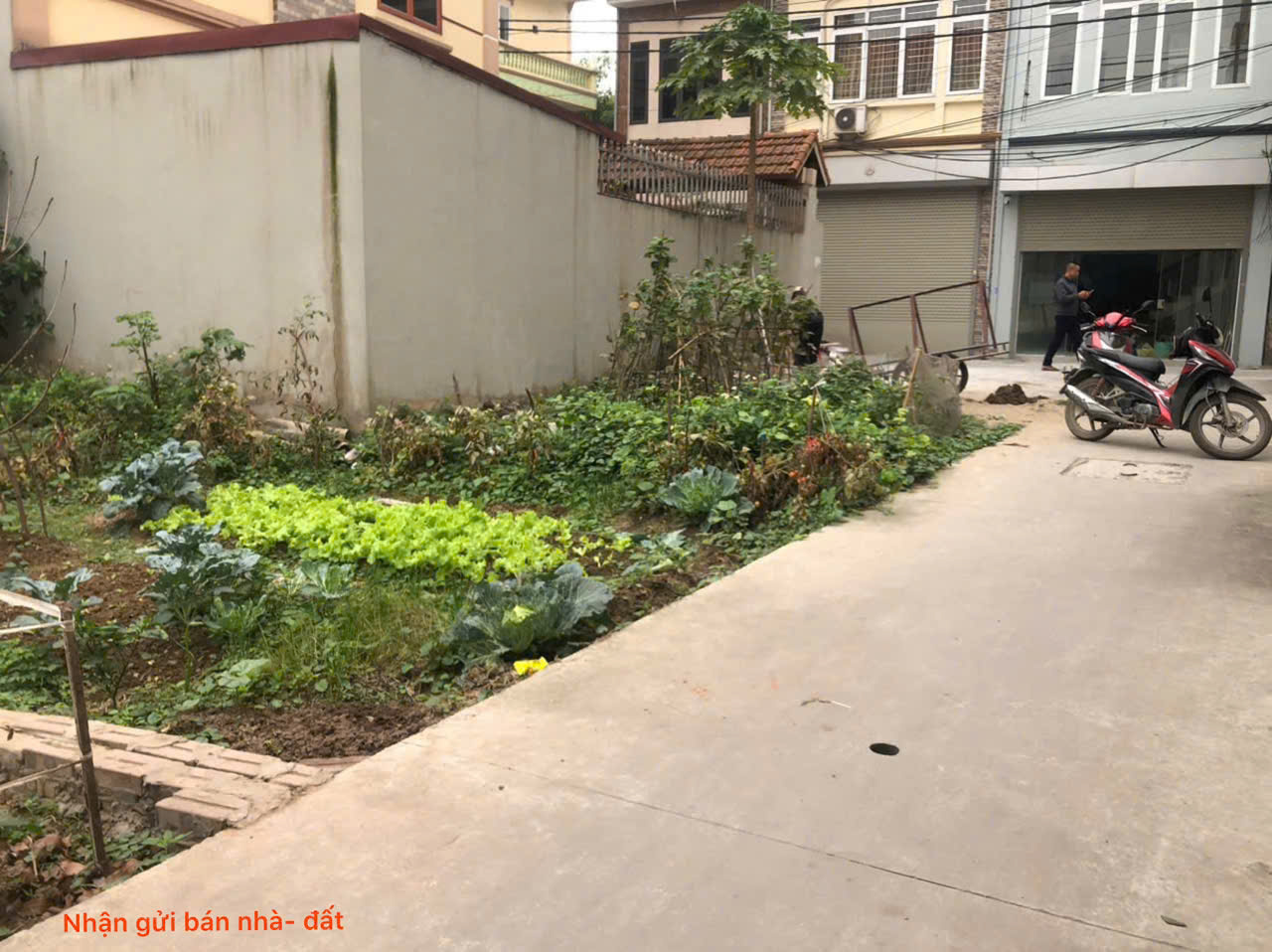 Bán đất tổ 8, TT Quang Minh, Mê Linh. Đất nằm sát siêu thị Mê Minh Plaza, và đường Võ Văn Kiệt - Ảnh 2