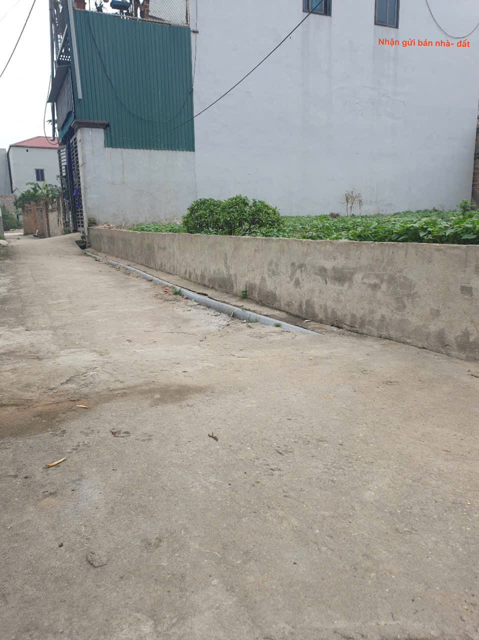 Bán đất thôn Phù Trì, Kim Hoa, Mê Linh. Gần đường vành đai 4. Full thổ cư, ô tô đỗ cửa. - Ảnh 3