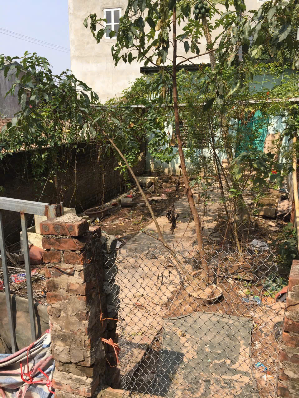 Bán đất Thôn 5, Đông Mỹ, Thanh Trì 60.5 4.2 3.3 tỷ - Ảnh chính
