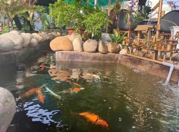 Bình Dương ! QUÁN ĐẸP ! QUÁN Cafe S/VƯỜN DTSD : 1000 m2, MB thuê chỉ 10tr / tháng, Tel : 0917103538 - Ảnh 3