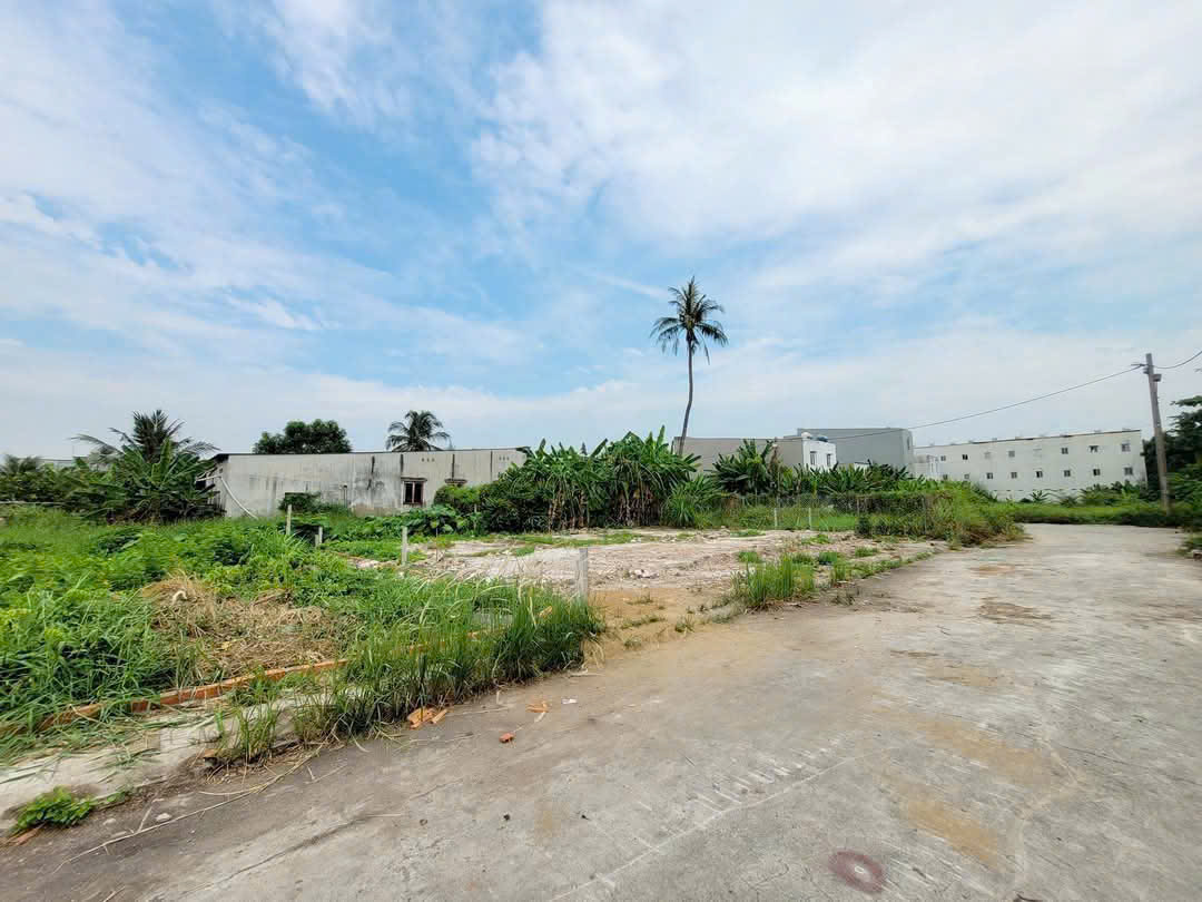 Giá mềm - nhĩnh 2₫ sở hữu ngay cặp đất (5m x 14m), Cống Hộp số 3 Thạnh Xuân 52, Q12 - Ảnh 4
