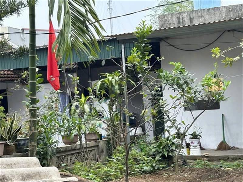 CHÍNH CHỦ CẦN BÁN CĂN NHÀ CẤP 4 tại Nguyễn Công Trứ, phố Bích Đào, P.Ninh Sơn, tp Hoa Lư, Ninh Bình - Ảnh chính