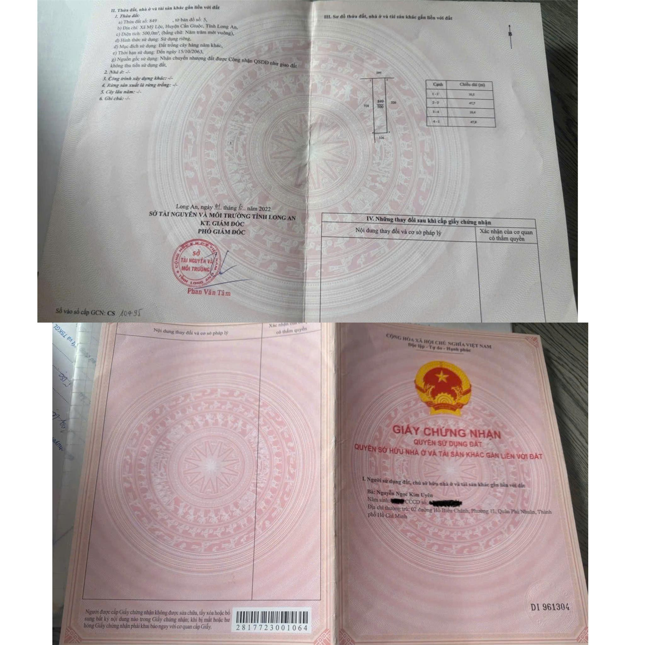ĐẤT CHÍNH CHỦ - 2 Lô Liền Kề - MẶT TIỀN Đường Cộng Đồng Lộc Hậu, Xã Mỹ Lộc, Cần Giuộc, Long An - Ảnh 4