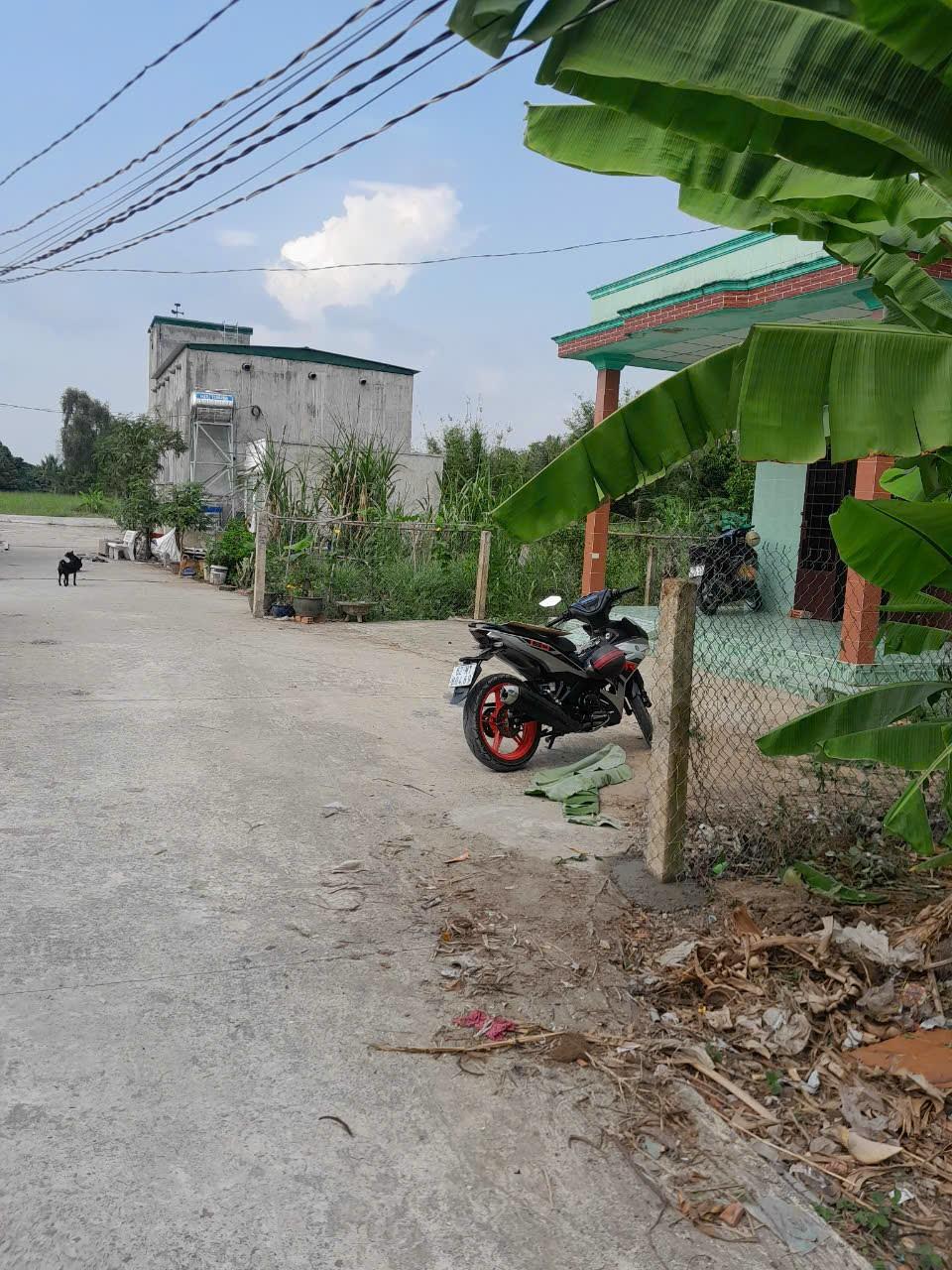 Đất Đẹp - Giá Tốt - Chính Chủ Cần Bán Lô Đất Vị Trí Đẹp Tặng Nhà Xã Nhựt Chánh, Bến Lức, Long An - Ảnh 4