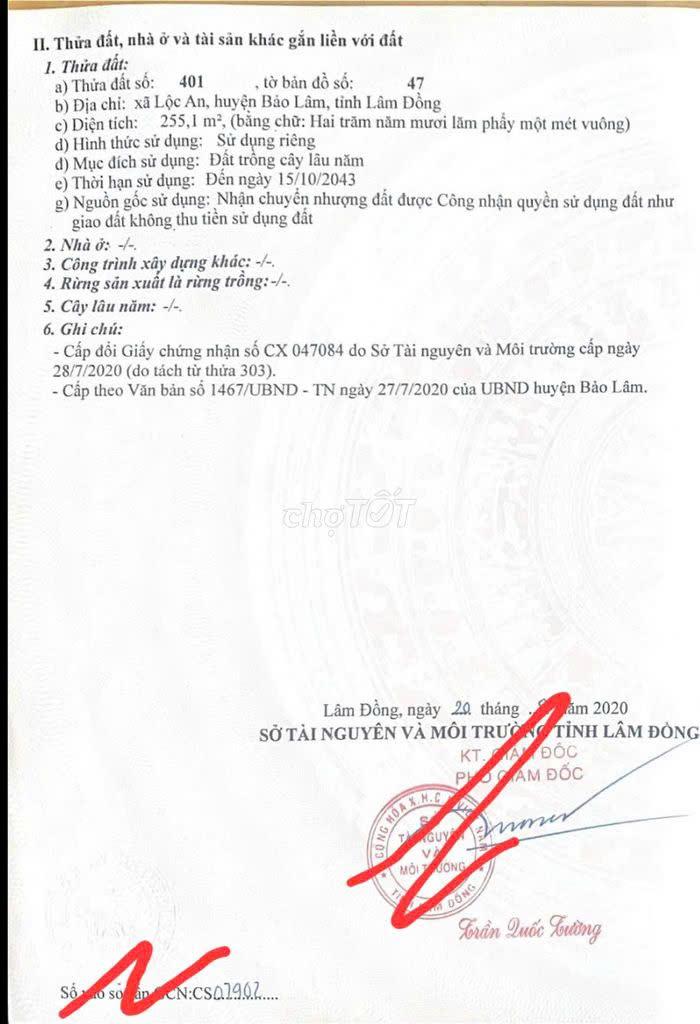 CẦN BÁN NHANH LÔ ĐẤT  TẠI   Thửa 401 TBĐ 47, Xã Lộc An, Thành phố Bảo Lộc, Lâm Đồng - Ảnh chính