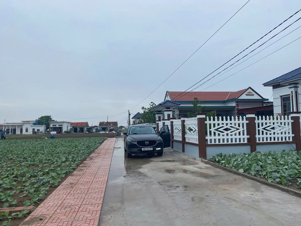 Sở hữu ngay lô đất SẴN SỔ ĐỎ mặt biển Quất Lâm giá đang còn SIÊU RẺ ạ - Ảnh 1