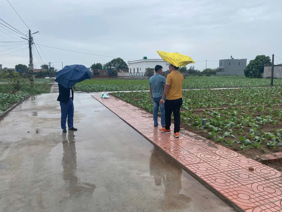 Sở hữu ngay lô đất SẴN SỔ ĐỎ mặt biển Quất Lâm giá đang còn SIÊU RẺ ạ - Ảnh 2